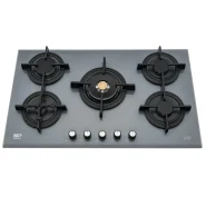 گاز رومیزی مسترپلاس مدل G250